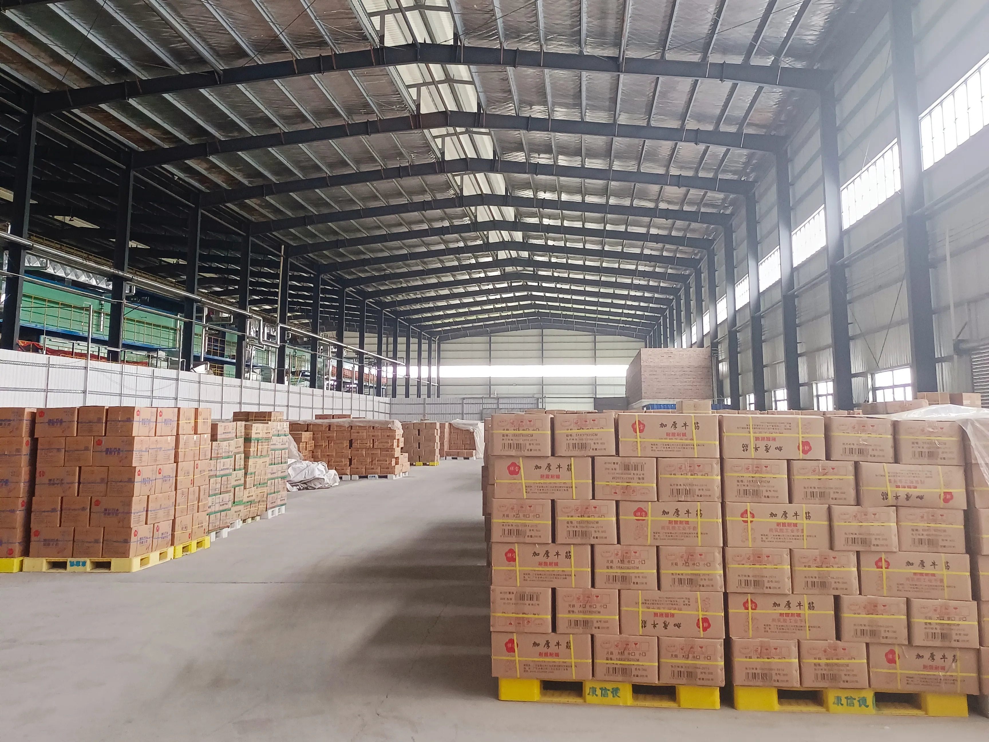 Customized Package Bags/ Carton